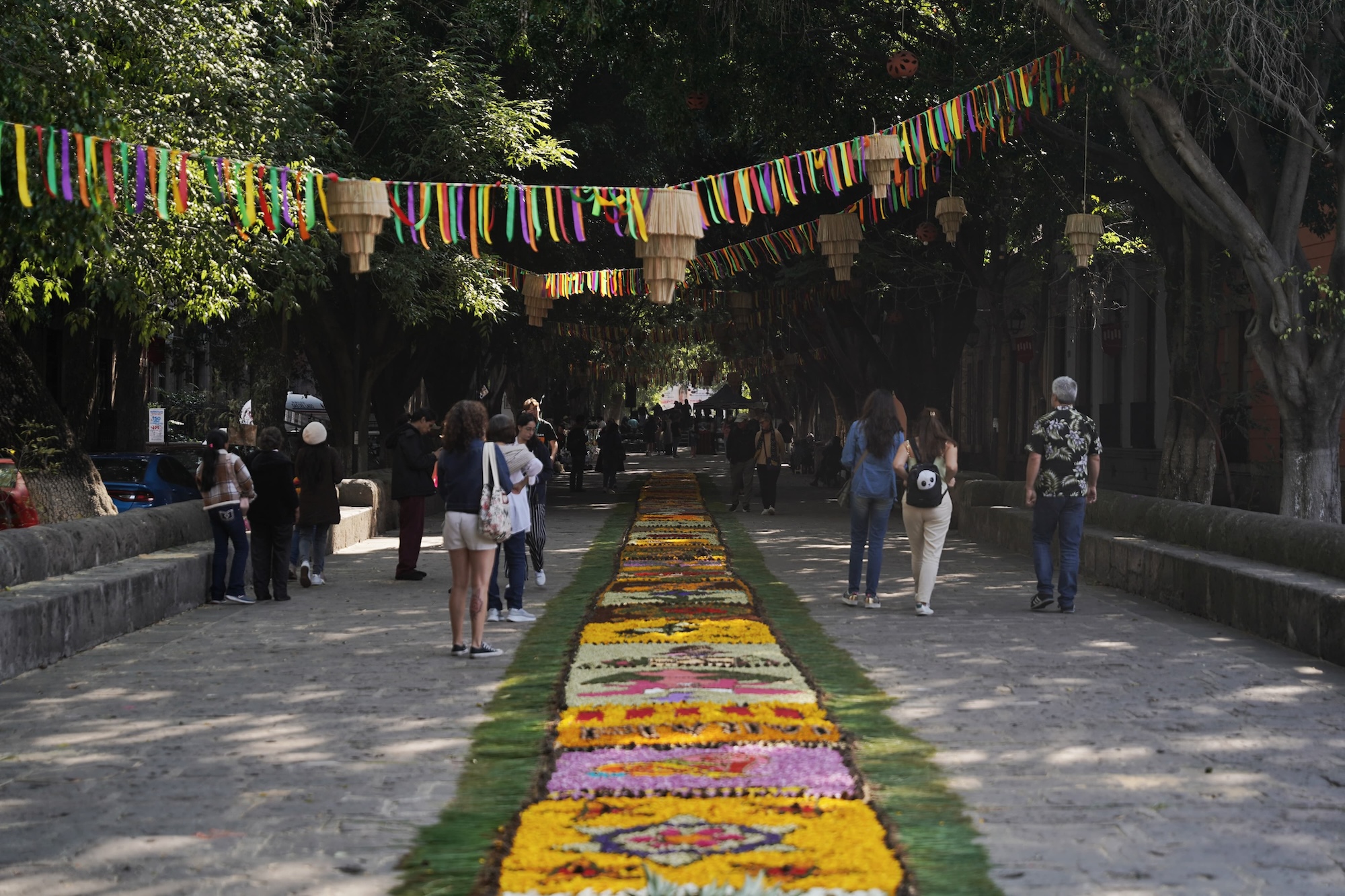 Tapetes florales